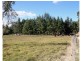 67 Wollombi Street, Broke NSW 2330