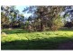 67 Wollombi Street, Broke NSW 2330