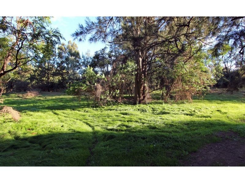 67 Wollombi Street, Broke NSW 2330