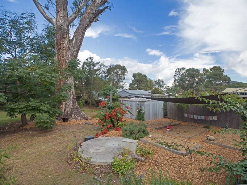 17 Cochrane Street, Broke NSW 2330