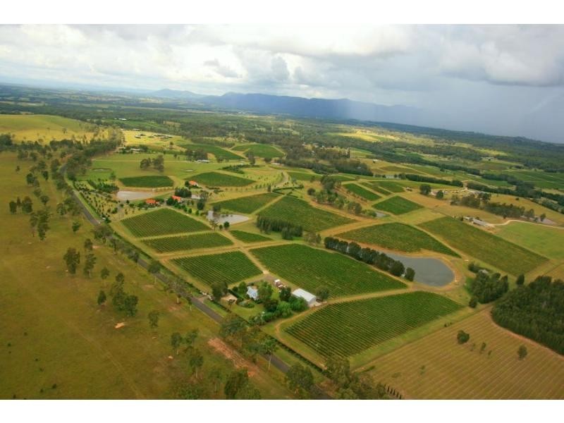 110 Old North Road, Pokolbin NSW 2320