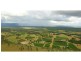 110 Old North Road, Pokolbin NSW 2320