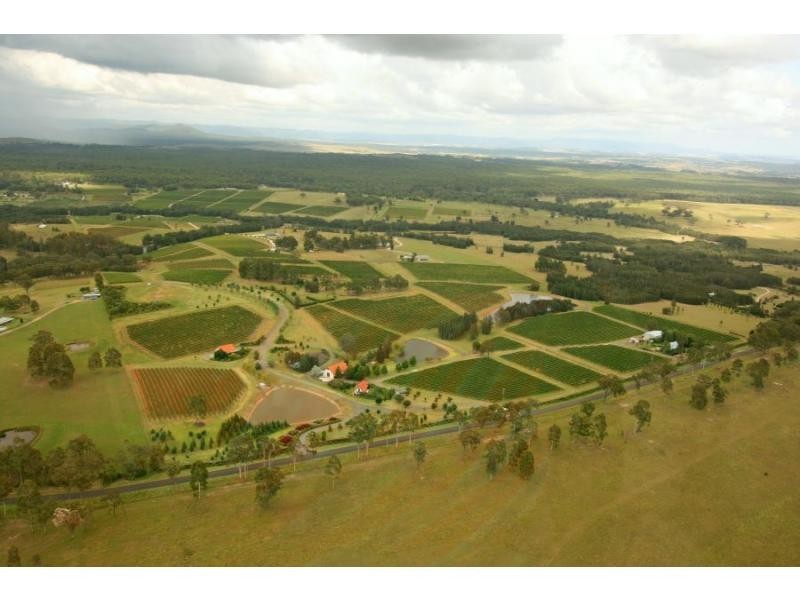 110 Old North Road, Pokolbin NSW 2320