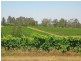 110 Old North Road, Pokolbin NSW 2320