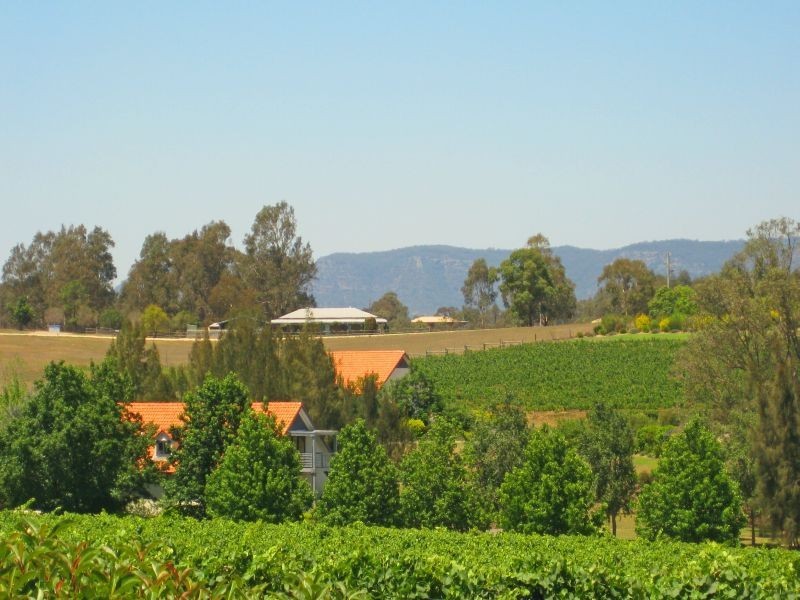 110 Old North Road, Pokolbin NSW 2320
