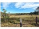 331 Wollombi Road, Farley NSW 2320