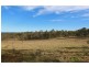331 Wollombi Road, Farley NSW 2320