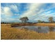 Broke NSW 2330