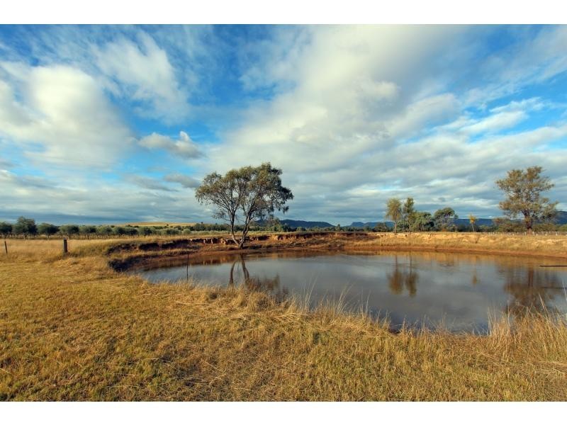 Broke NSW 2330