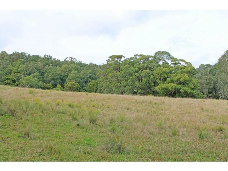 Lot 12 Rodney Road, Mount Vincent NSW 2323