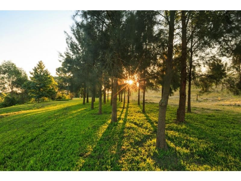 776 Glendon Road, Singleton NSW 2330