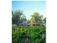 6 Halls Road, Pokolbin NSW 2320