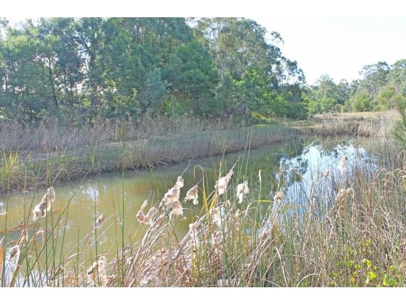 80 Whitebridge Road, Mulbring NSW 2323