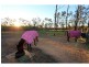 Lovedale NSW 2325
