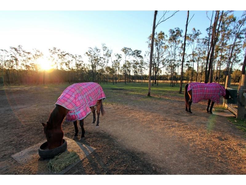 Lovedale NSW 2325