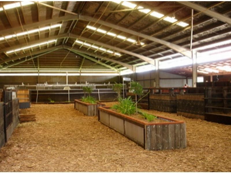 Seaham NSW 2324