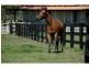 Seaham NSW 2324