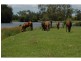 Seaham NSW 2324