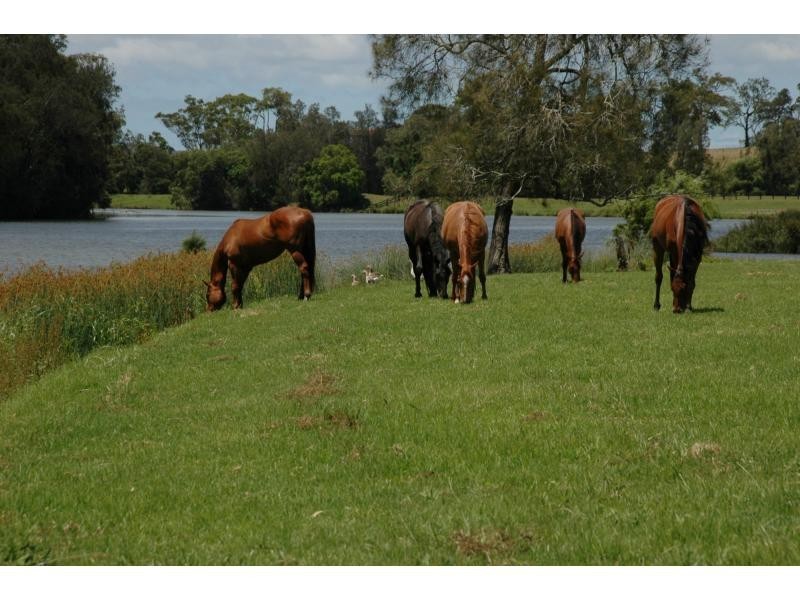 Seaham NSW 2324