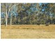 Lot 10 Off Millfield Road, Paxton NSW 2325