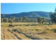 Lot 10 Off Millfield Road, Paxton NSW 2325