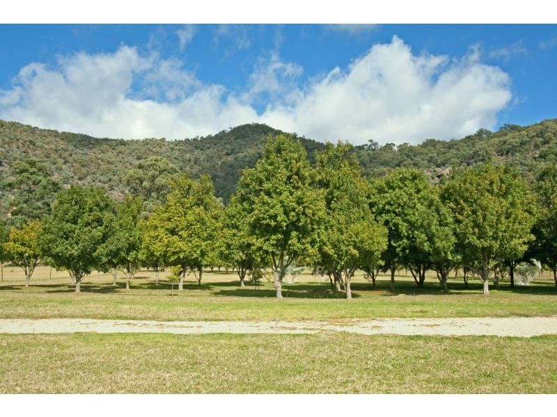 118 Milbrodale Road, Broke NSW 2330