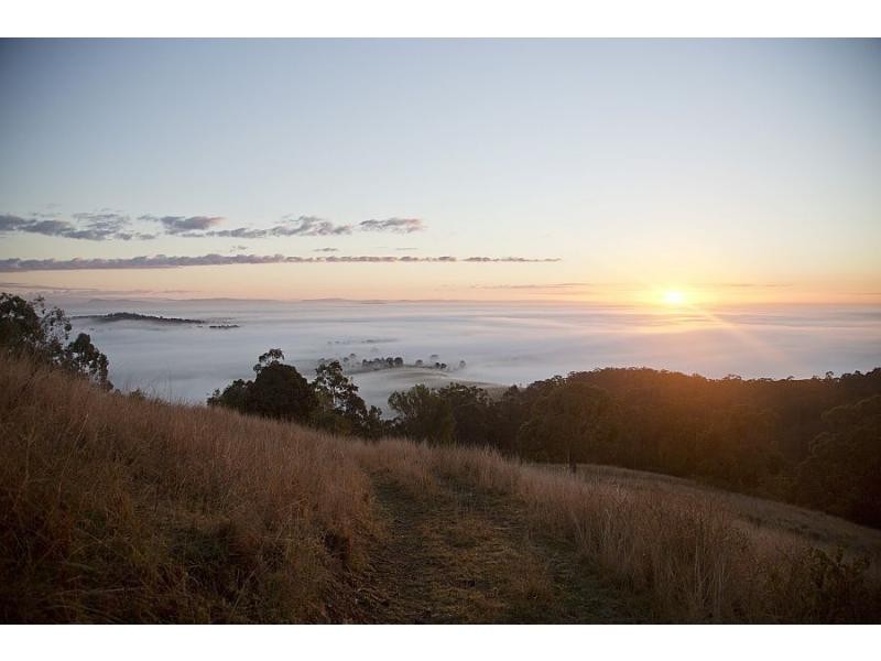 Pokolbin NSW 2320