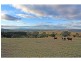 Pokolbin NSW 2320