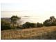 Pokolbin NSW 2320