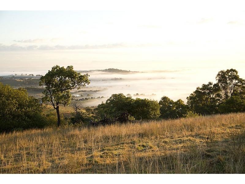 Pokolbin NSW 2320