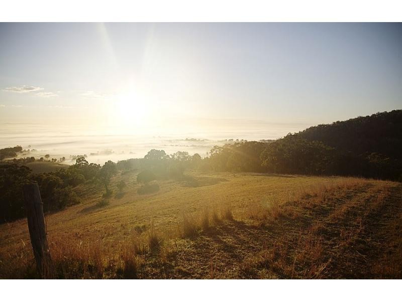 Pokolbin NSW 2320