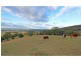 Pokolbin NSW 2320