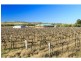 381 Milbrodale Road, Broke NSW 2330