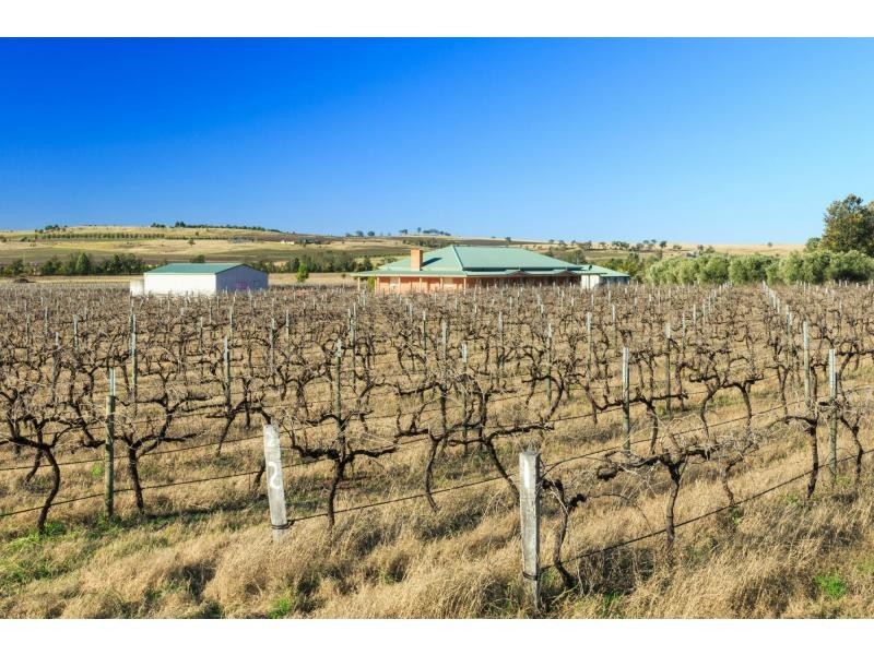 381 Milbrodale Road, Broke NSW 2330