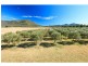381 Milbrodale Road, Broke NSW 2330