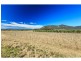 381 Milbrodale Road, Broke NSW 2330