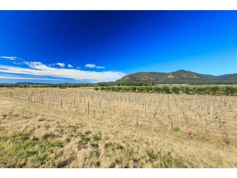 381 Milbrodale Road, Broke NSW 2330
