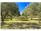 381 Milbrodale Road, Broke NSW 2330