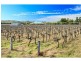 381 Milbrodale Road, Broke NSW 2330