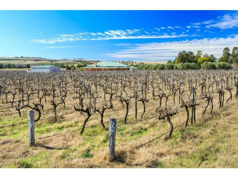 381 Milbrodale Road, Broke NSW 2330