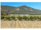 381 Milbrodale Road, Broke NSW 2330