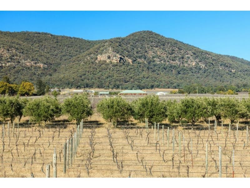 345 & 381 Milbrodale Road, Broke NSW 2330