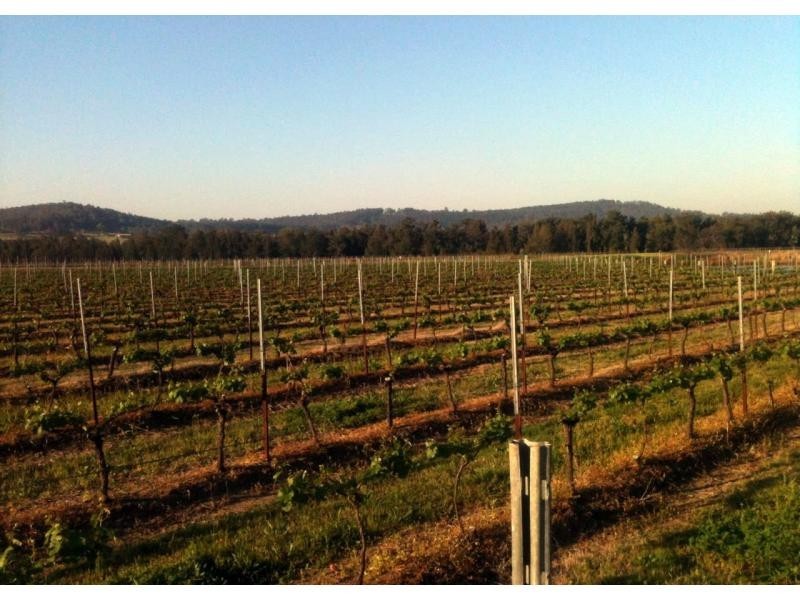 386 Wilderness Road, Lovedale NSW 2325