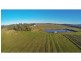 386 Wilderness Road, Lovedale NSW 2325