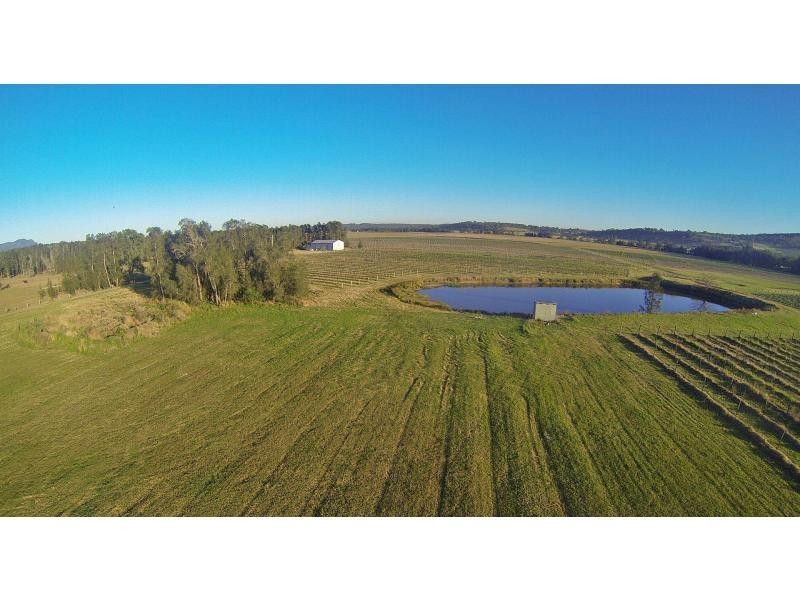 386 Wilderness Road, Lovedale NSW 2325