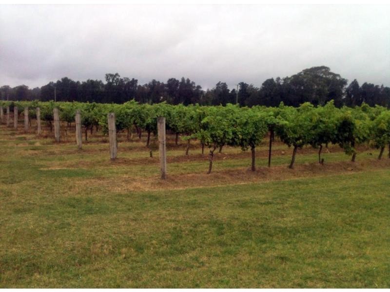 386 Wilderness Road, Lovedale NSW 2325