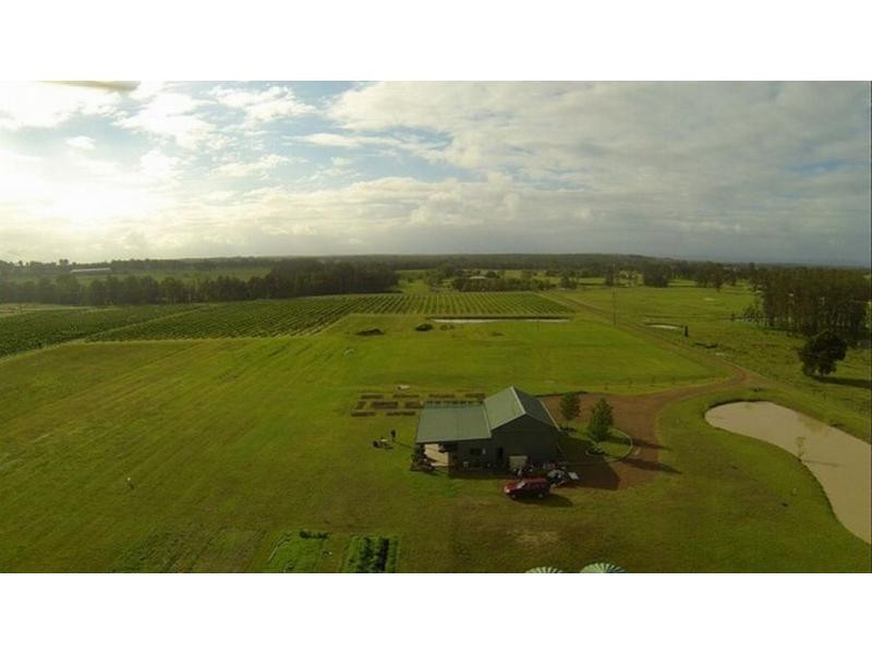 386 Wilderness Road, Lovedale NSW 2325