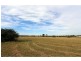 26 Windermere Road, Lochinvar NSW 2321