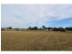 26 Windermere Road, Lochinvar NSW 2321