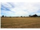26 Windermere Road, Lochinvar NSW 2321
